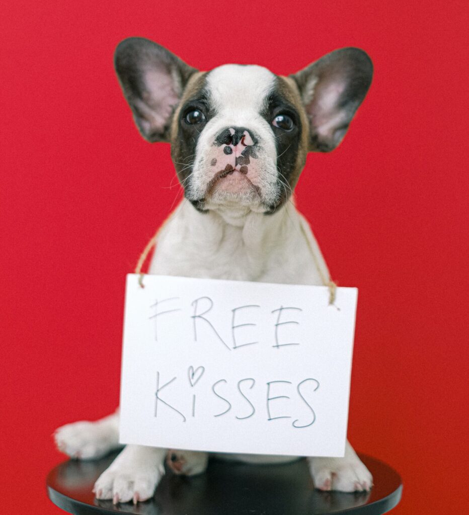 A cute looking dog holding a text board offering free kisses