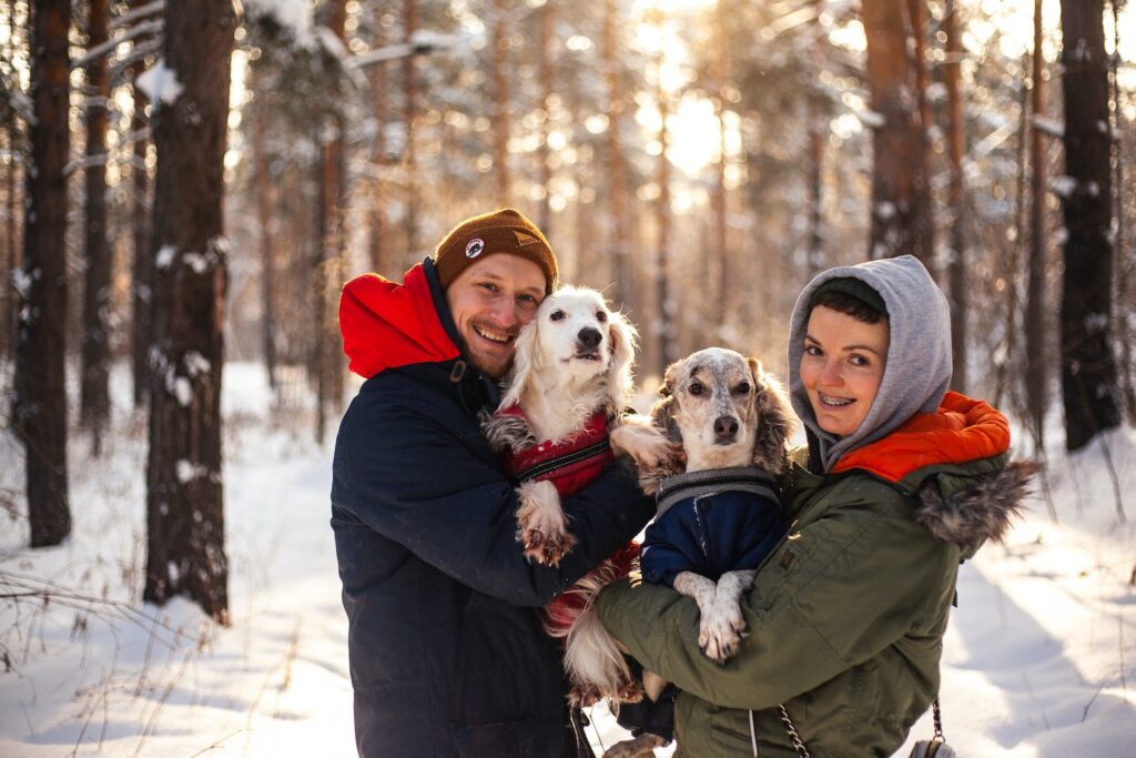 A couple in a winter woodland holding two small dogs wearing warm dog coats
