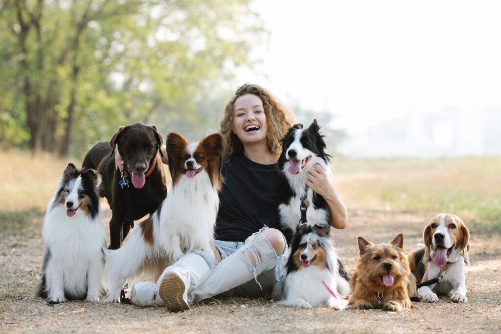 Woman sat on the floor in a countryside scene with a group of happy dogs