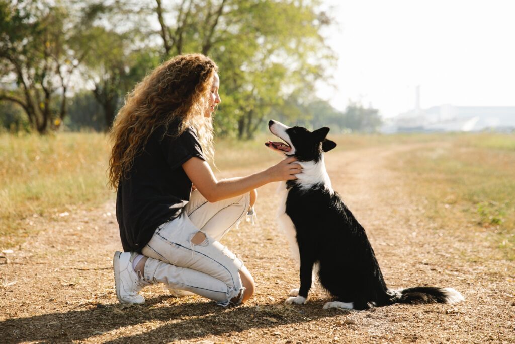 Lady knelt down stroking a border collie type of dog in a field