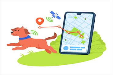 Dog pets collar tracker location gps satellite map online internet service