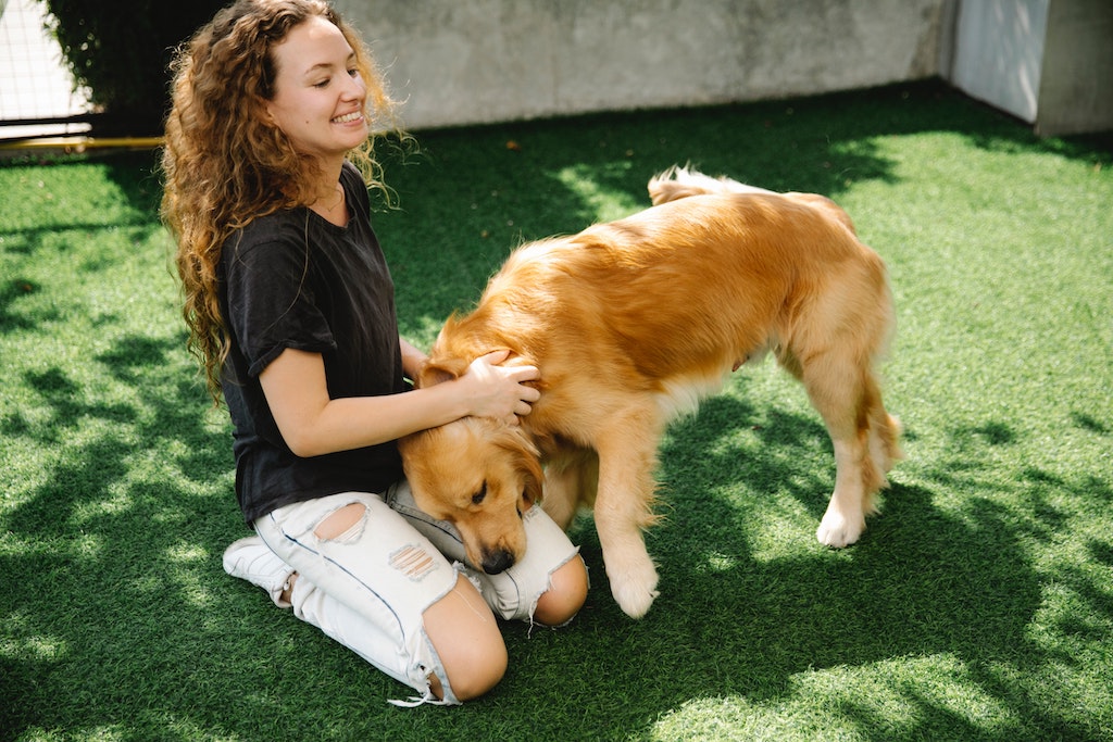 A dog with a girl playing on artificial grass